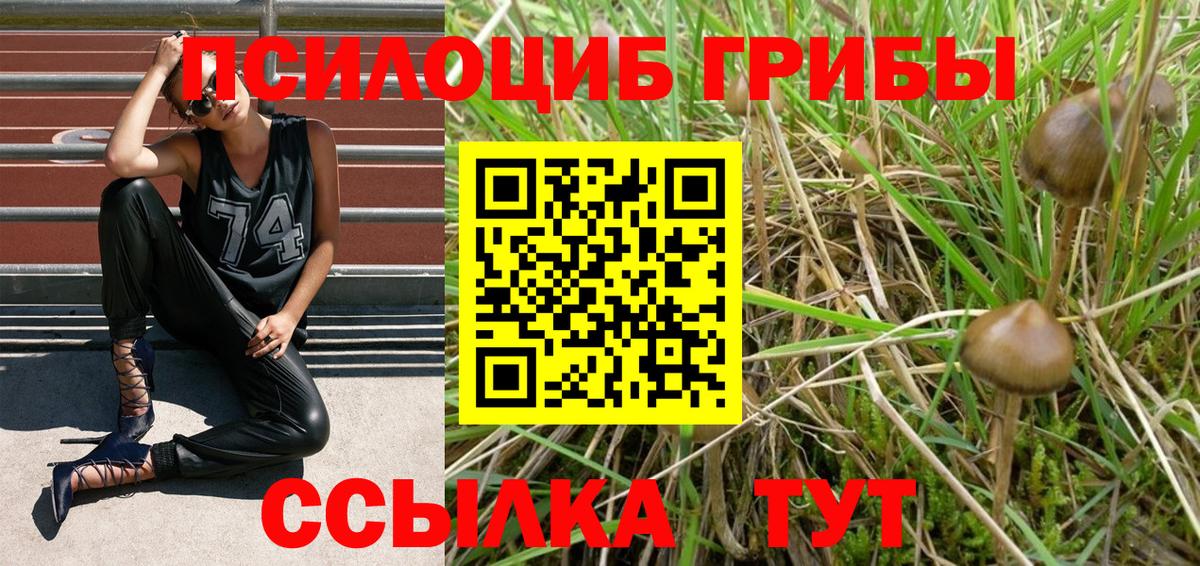 Псилоцибиновые грибы Psilocybe  Вход с VPN  Галлюциногенные грибы Magic Shrooms  где продают наркотики  Йошкар-Ола 
